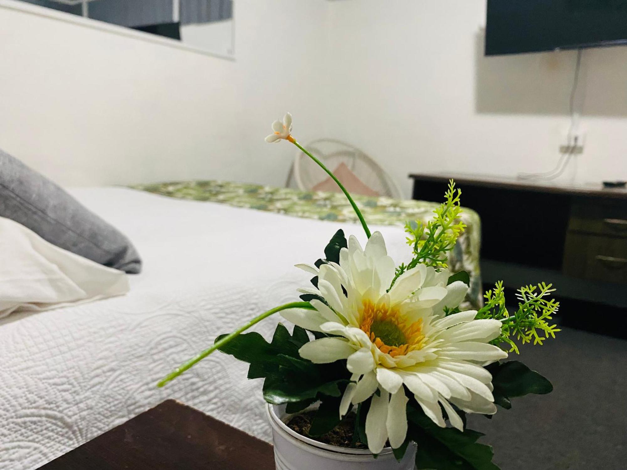 Hostal 3 Norte サンアントニオ エクステリア 写真