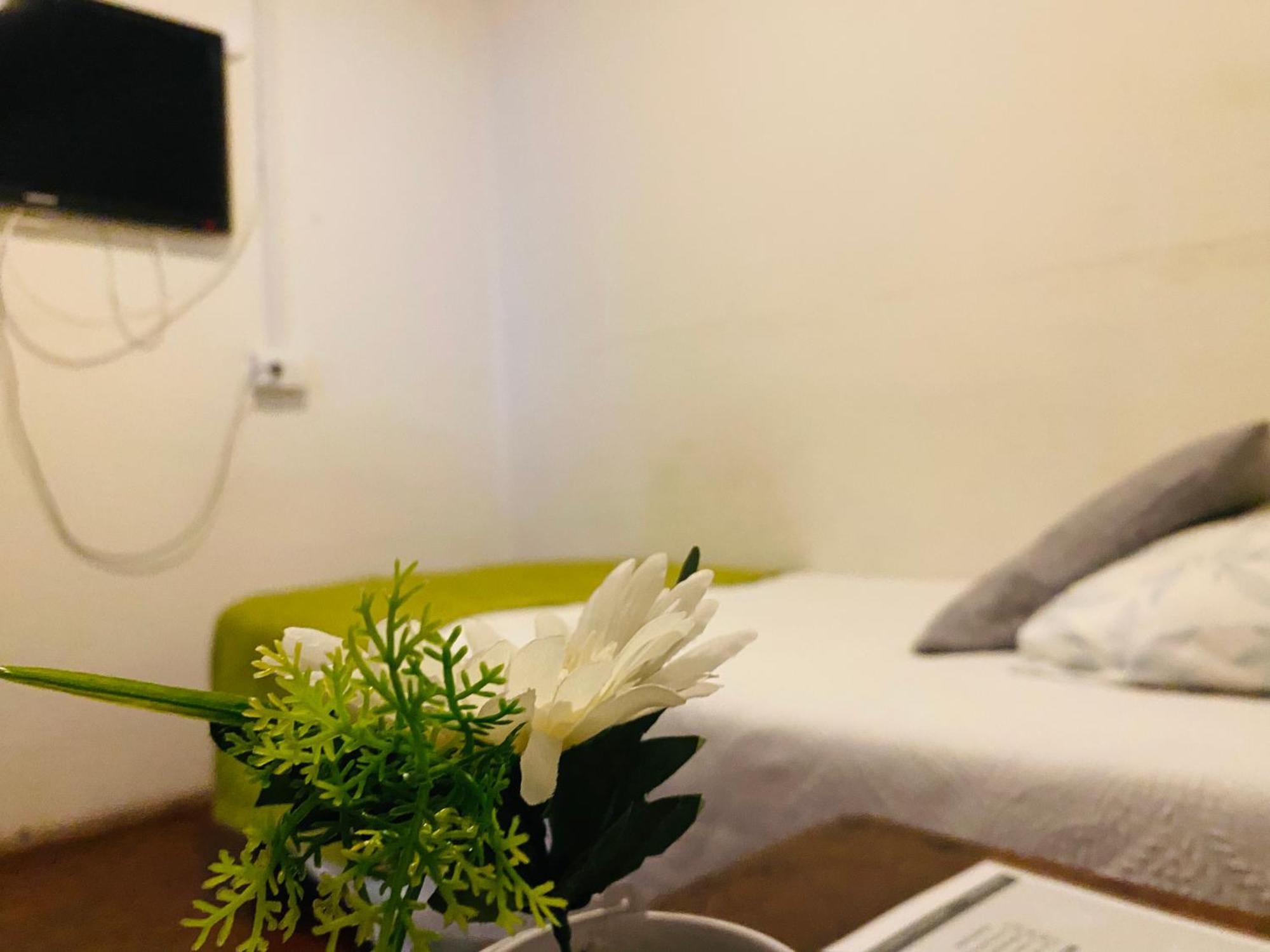 Hostal 3 Norte サンアントニオ エクステリア 写真